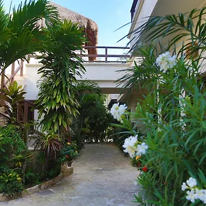 *** 酒店 Xibalba Dive Center 墨西哥